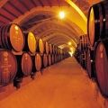 Florio winery