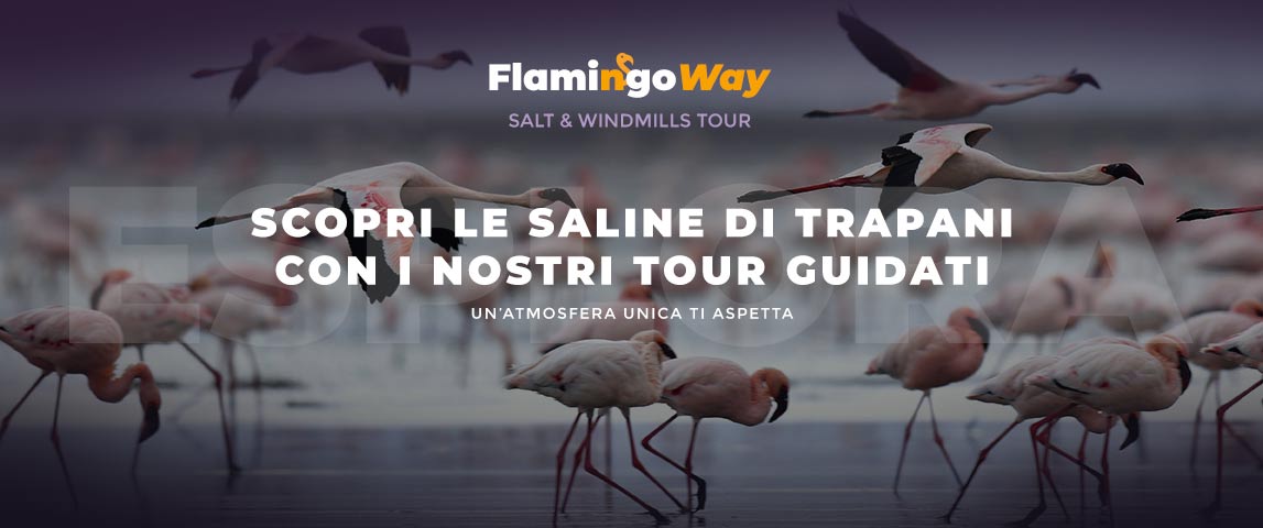 Tour alle saline di Trapani